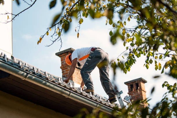 Best Roof Moss and Algae Removal  in Canyonville, OR